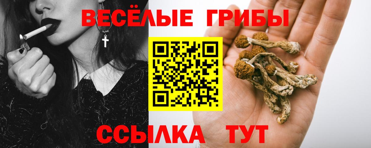 Псилоцибиновые грибы мухоморы Ульяновск